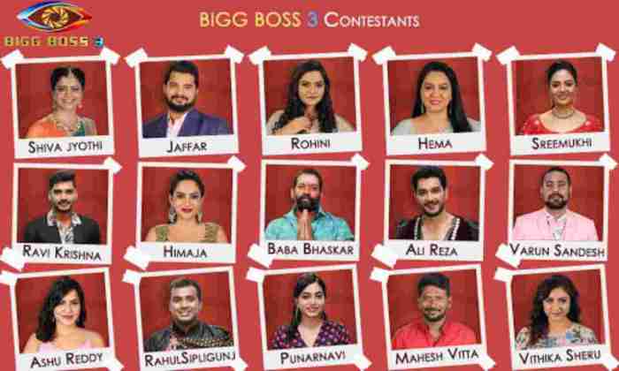 Bigg contestants telugu wildcard saikumar avinash fame