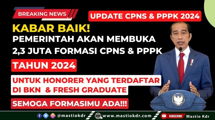 Pengumuman kelulusan PPPK 2024 BKN tahap 2 dan jadwalnya