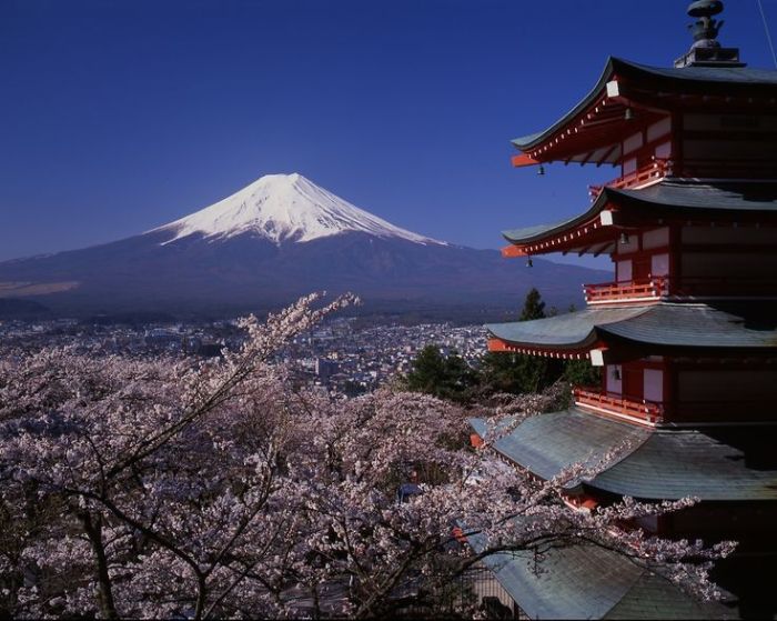 Wisata dan budaya populer yang menarik di Jepang