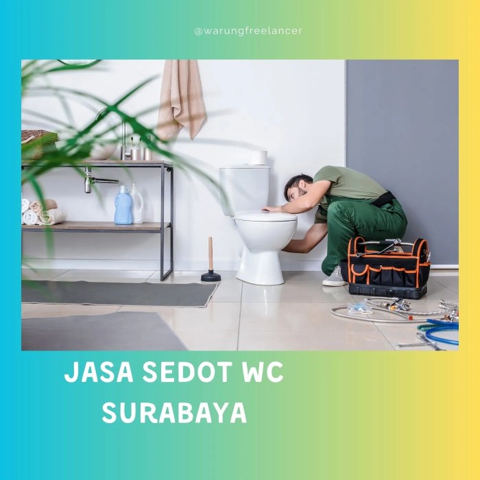 Sedot wc bandung