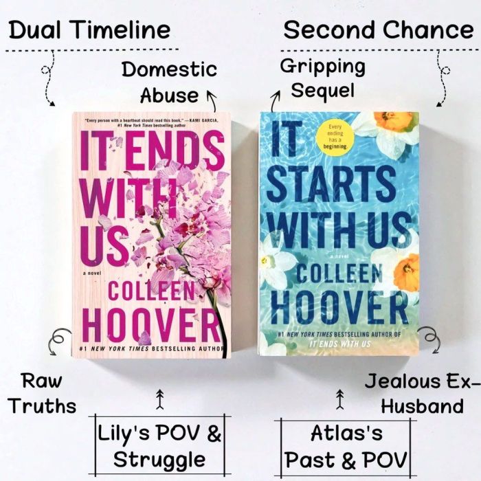 Review dan ending cerita novel It Ends With Us Colleen Hoover