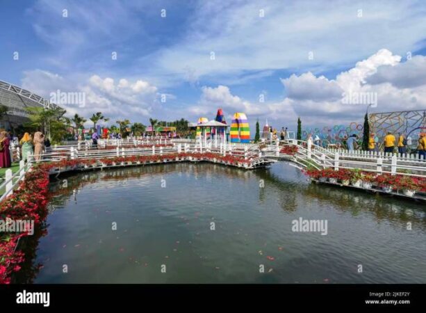 Bandungan celosia semarang viral warni memanjakan mata destinasi wisata salah andalan hipwee