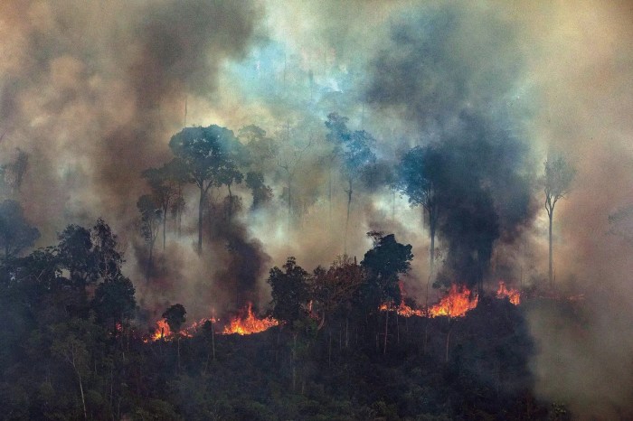 Penyebab kebakaran hutan di amerika