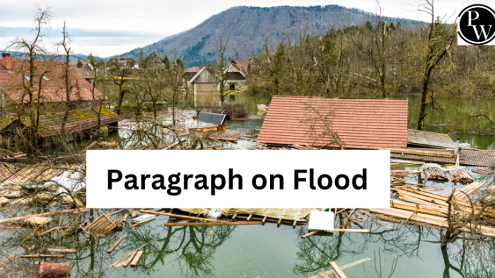 Teks tanggapan tentang banjir