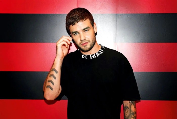 Kabar terbaru Liam Payne dan proyek musiknya