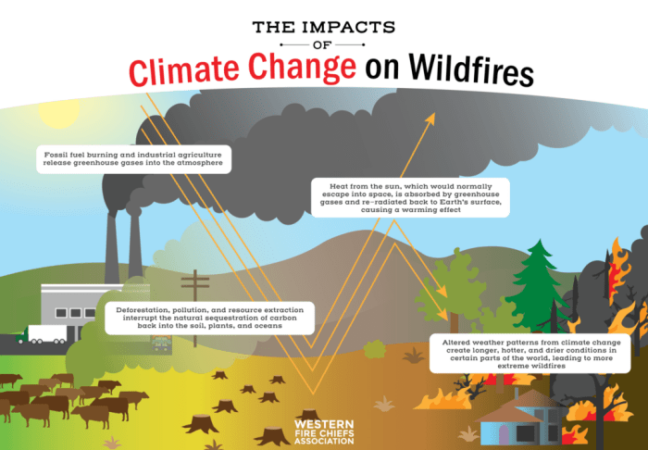 Fires forest causes fire presentation ppt