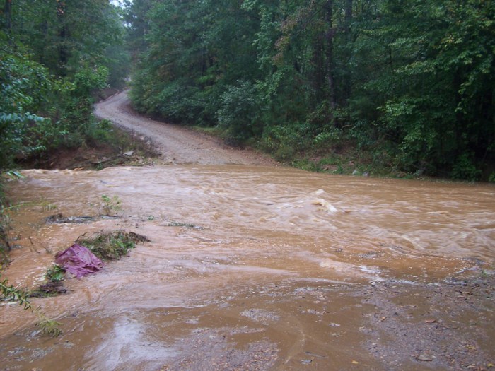 Banjir penyebab