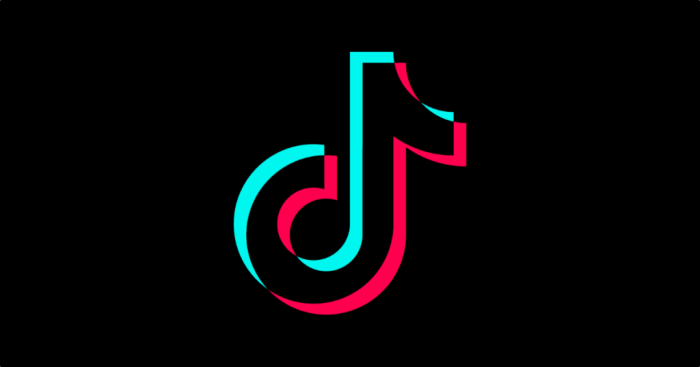 Template tiktok tanpa watermark